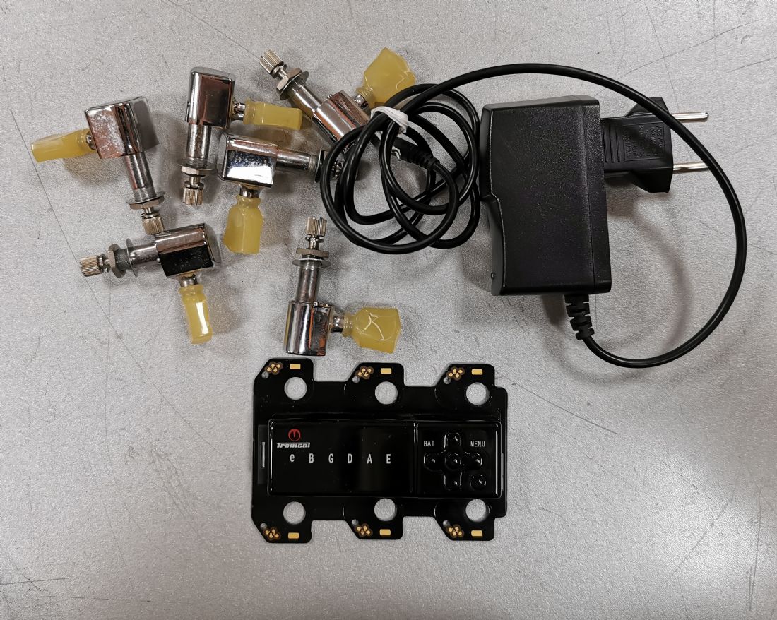 2 Jack Uscita 1/4 Pollici Per Chitarra E Basso - Cilindro End Pin In Argento, Stereo/mono